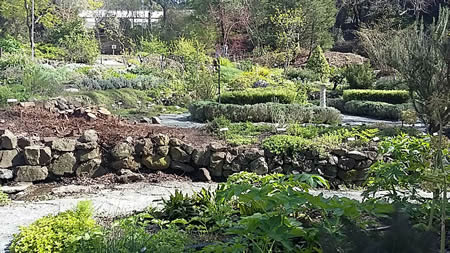 bot-garden-berk-march