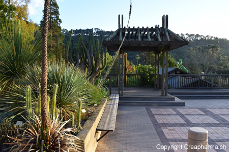 jardin-botanique-berkeley-mars-2016