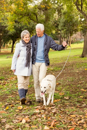 Avoir un chien pourrait prolonger l’espérance de vie, surtout après une crise cardiaque ou un accident vasculaire cérébral