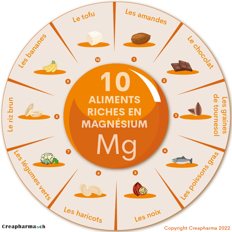 10 aliments riches en magnésium