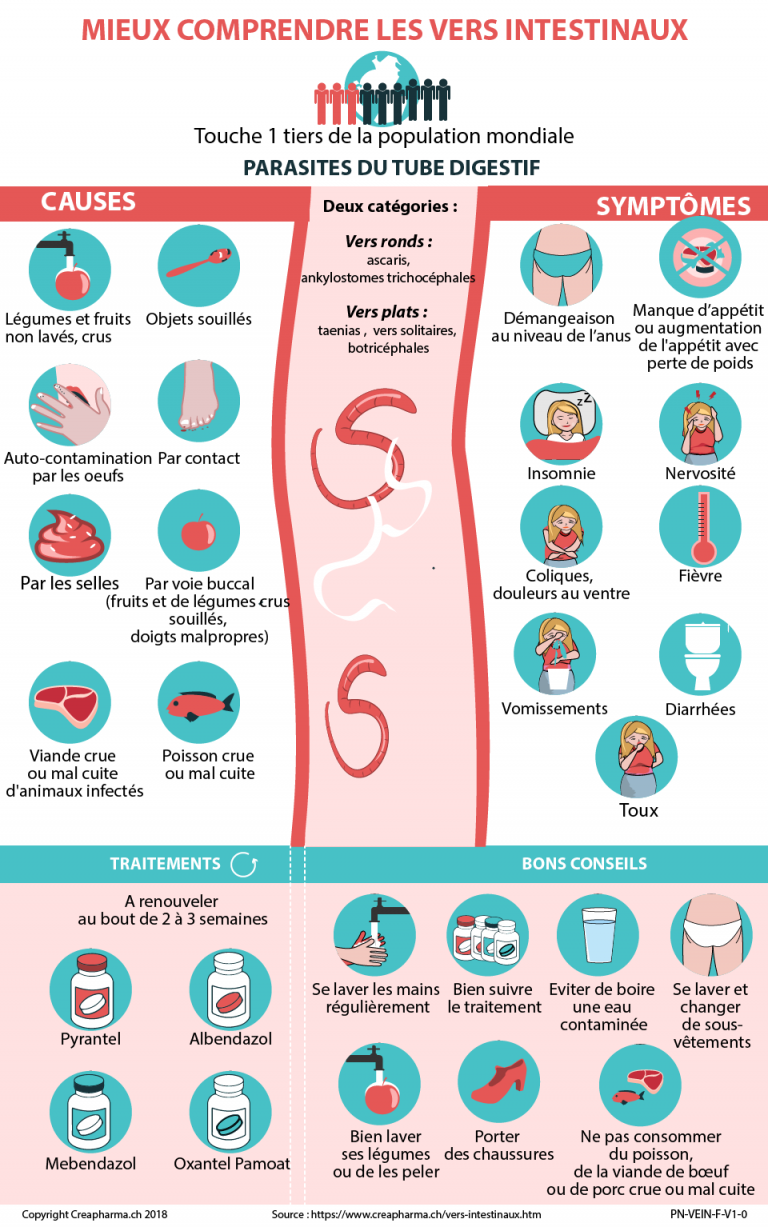 Vers intestinaux  symptômes & traitements  Creapharma