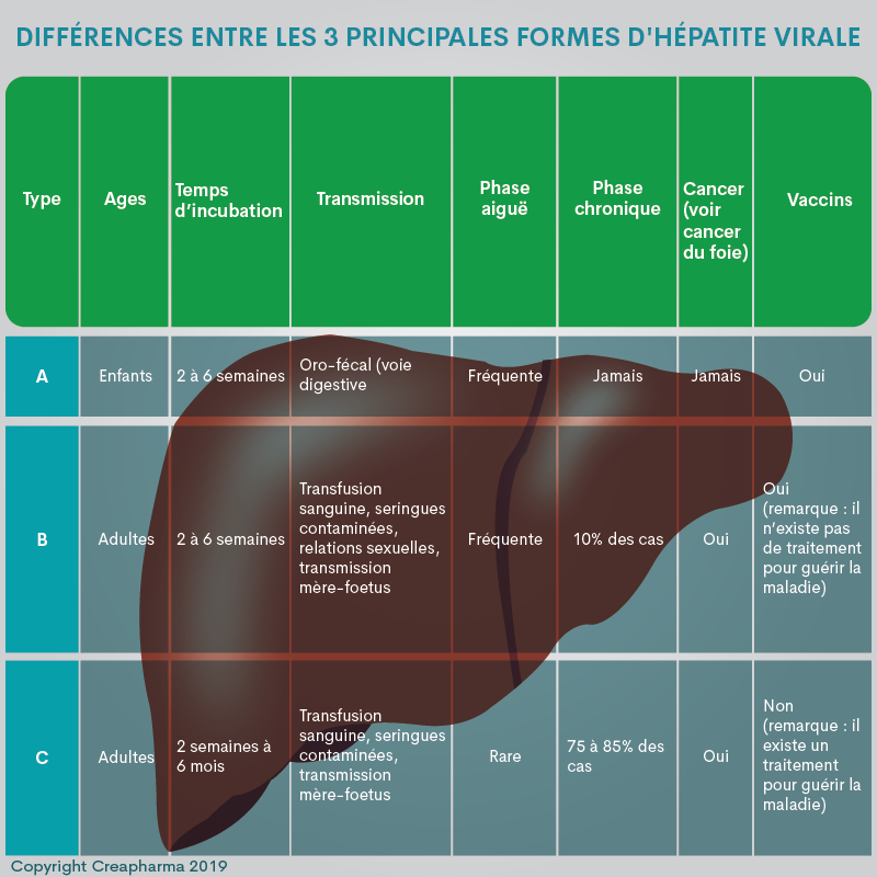 Hépatites : causes, symptômes & traitements | Creapharma