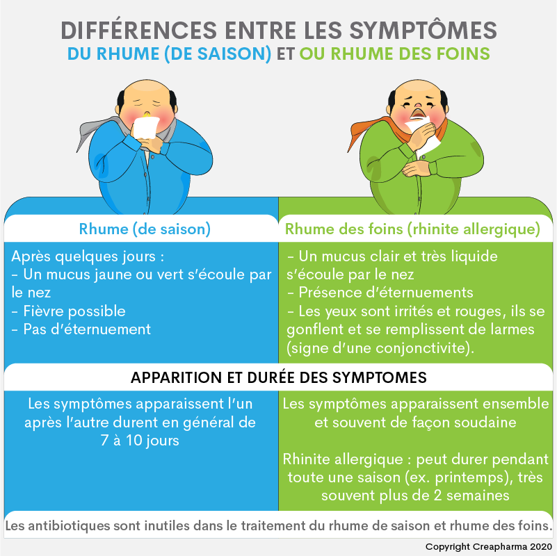 Différences entre rhume de saison et rhume des foins (rhinite allergique)