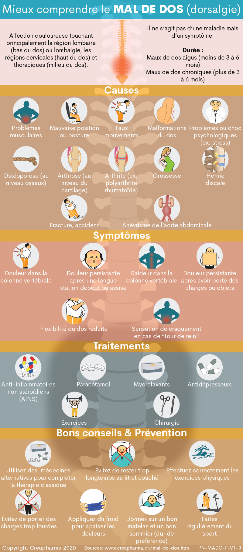 Mal de dos : causes, symptômes & traitements | Creapharma