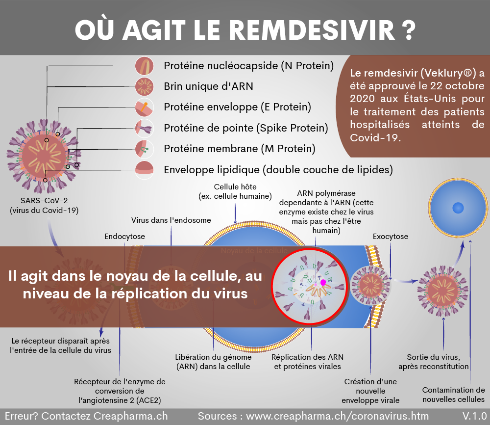 8 informations à savoir sur la Covid-19