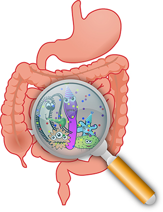 Probiotiques et prébiotiques : quelles différences ?