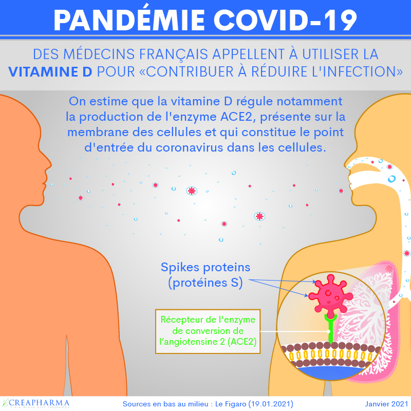 La vitamine D est-elle utile contre la Covid-19 (état janvier 2021) ?
