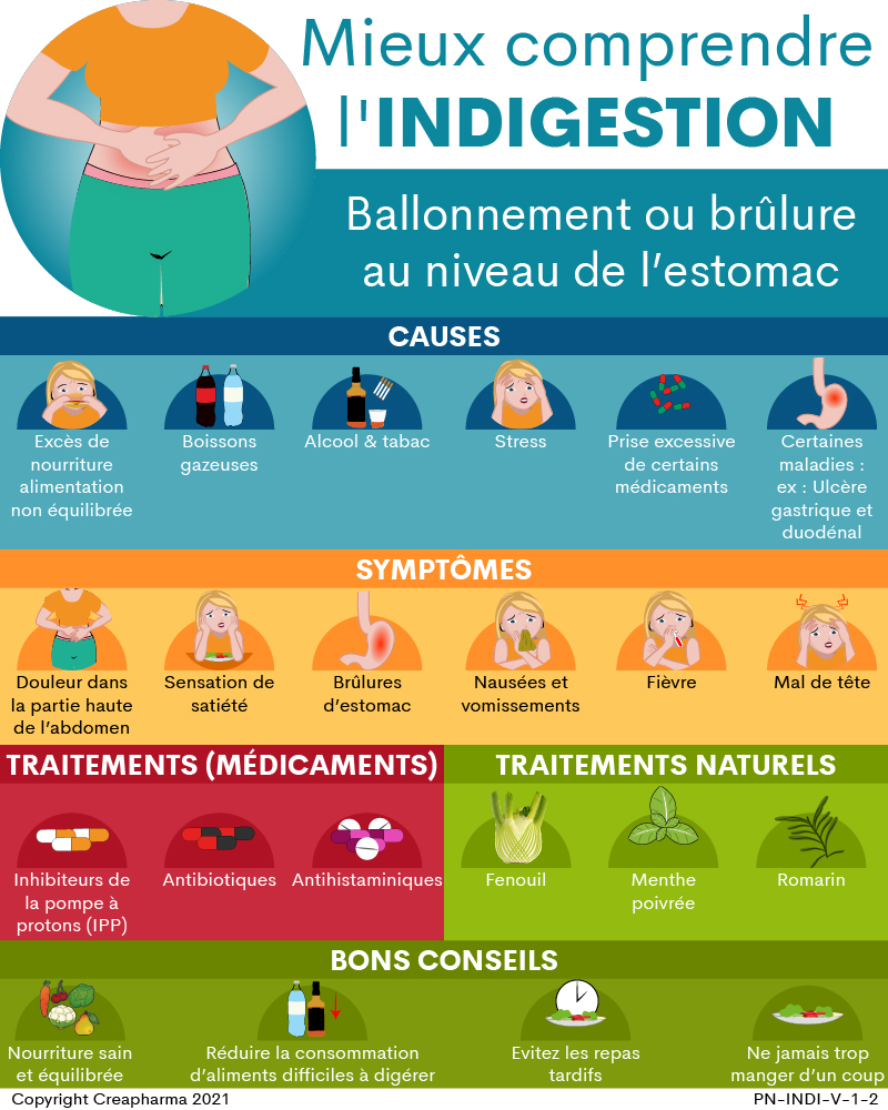 Indigestion : causes, symptômes & traitements | Creapharma