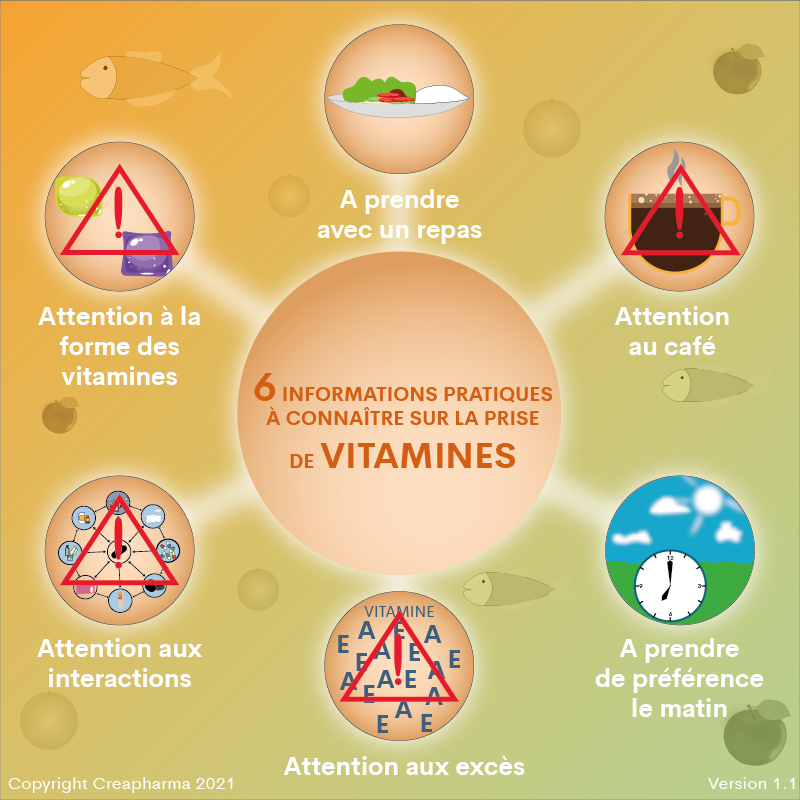 6 informations pratiques à connaître sur la prise de vitamines