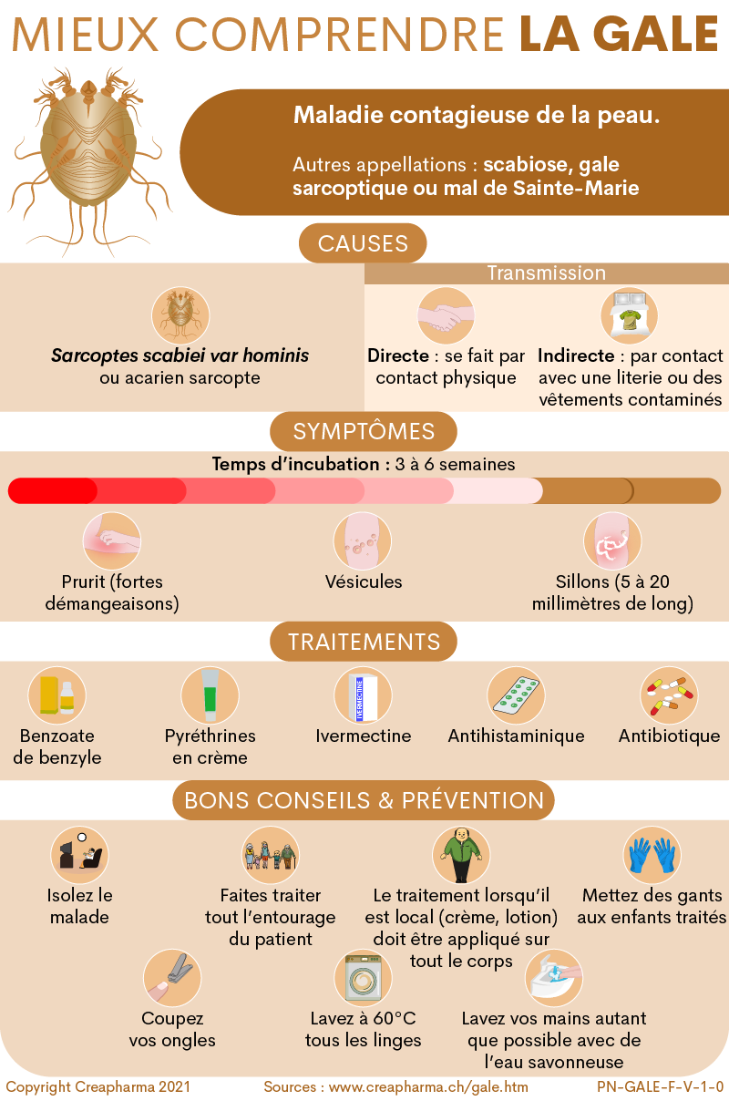 Gale : causes, symptômes & traitements | Creapharma