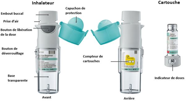 Spiriva ® Respimat® 2,5 µg, solution à inhaler (réutilisable) | Creapharma
