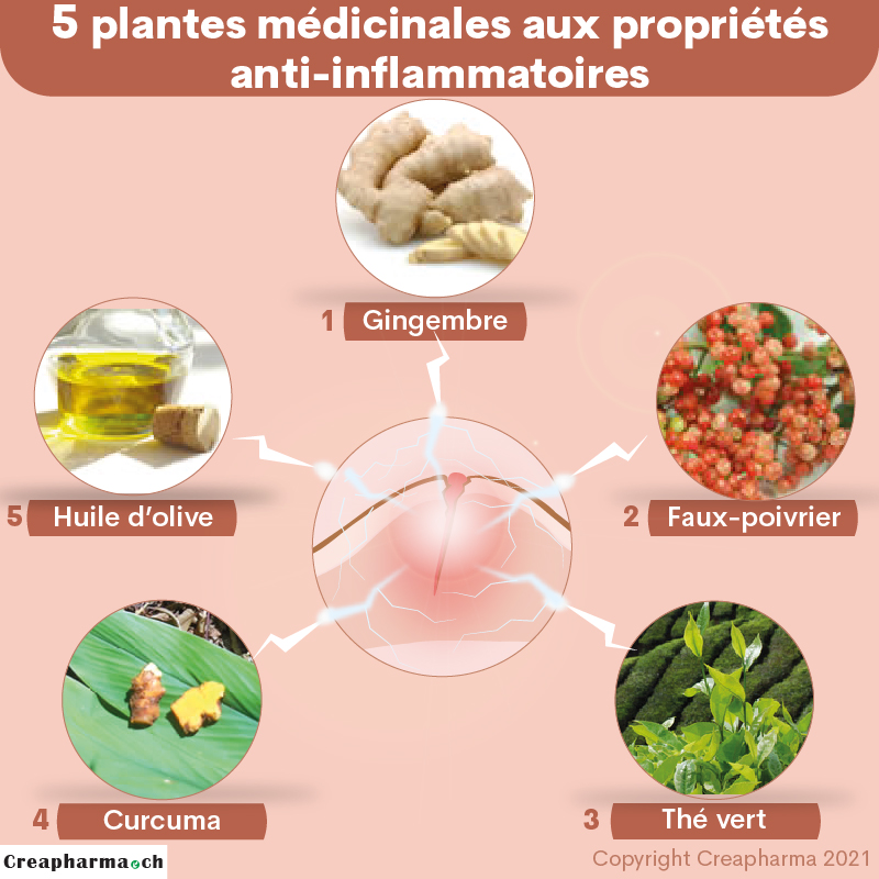 5 plantes médicinales aux propriétés anti-inflammatoires