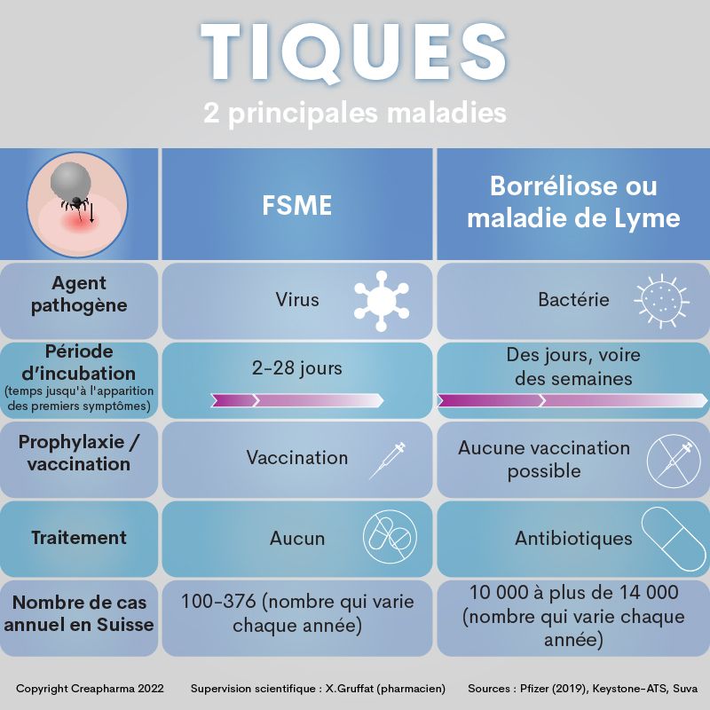 5 choses à savoir sur les tiques