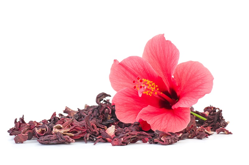 Tisane d'hibiscus - Thé d'hibiscus