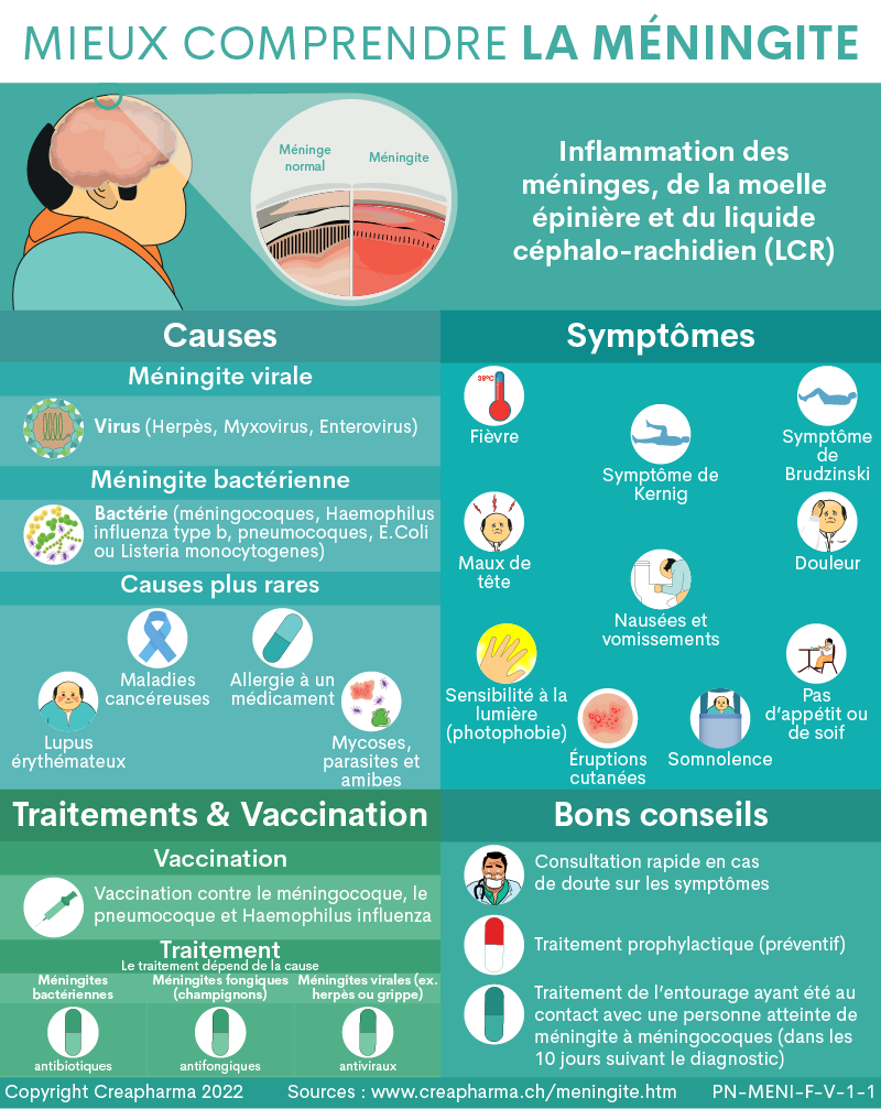 Méningite : causes, symptômes & traitements | Creapharma