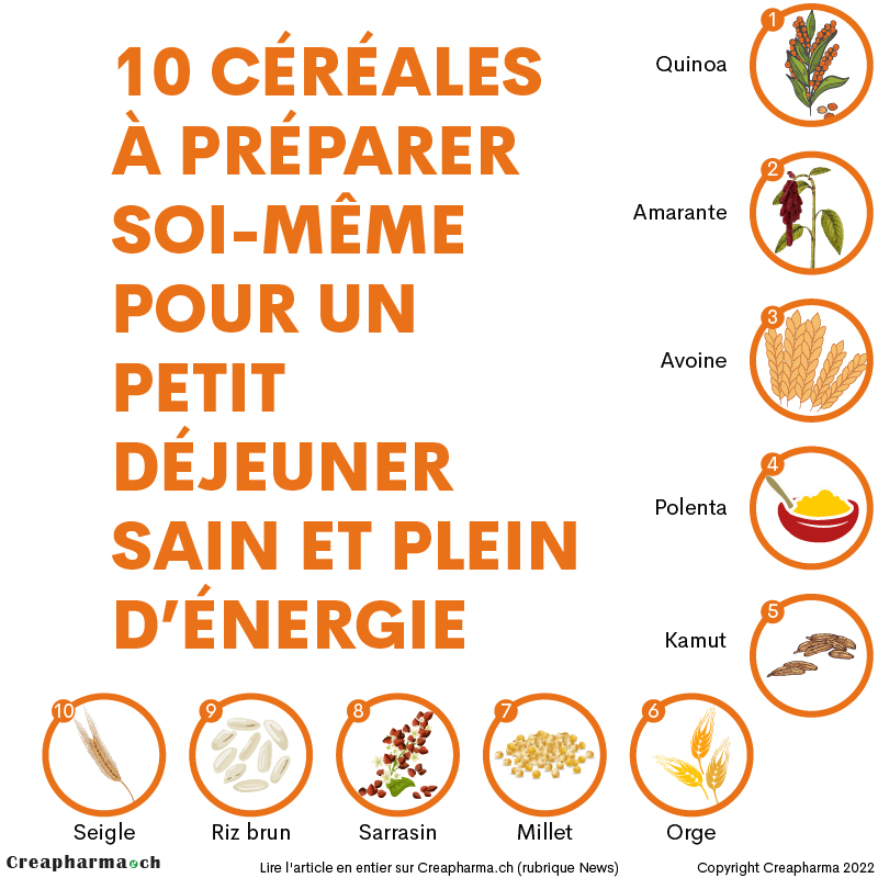 10 céréales à préparer soi-même pour un petit déjeuner sain et plein d’énergie