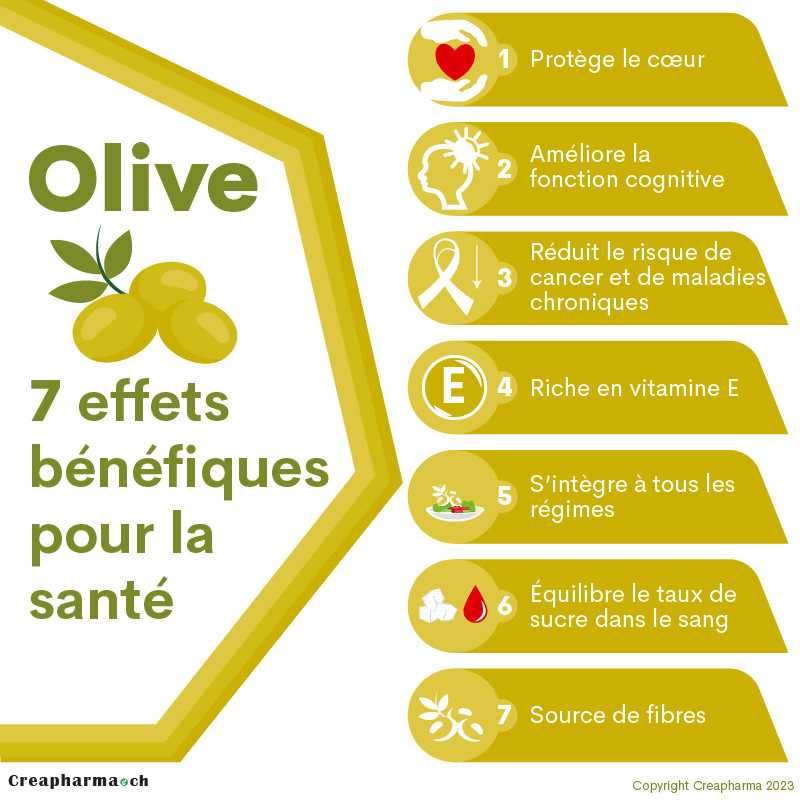 Olive : 7 effets bénéfiques pour la santé