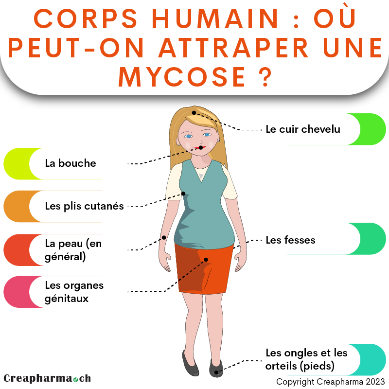 Corps humain : où peut-on attraper une mycose ? | Creapharma