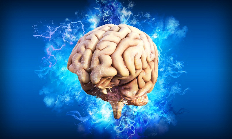 La pratique musicale freine le déclin cognitif