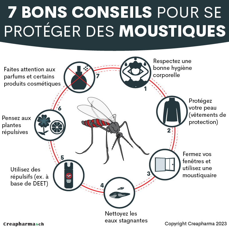 Identifier les différentes espèces de moustiques pour mieux se protéger !