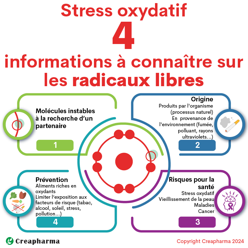 Stress oxydatif : 4 informations à connaître sur les radicaux libres