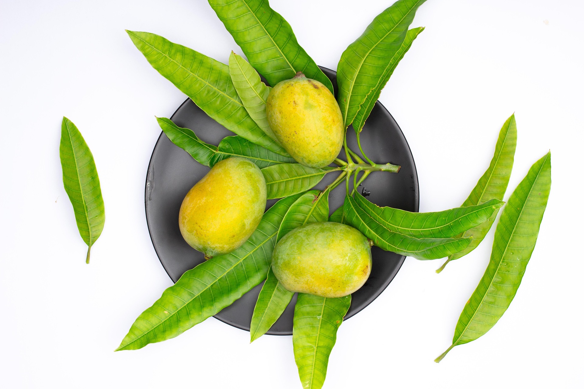 10 effets bénéfiques de la mangue pour la santé